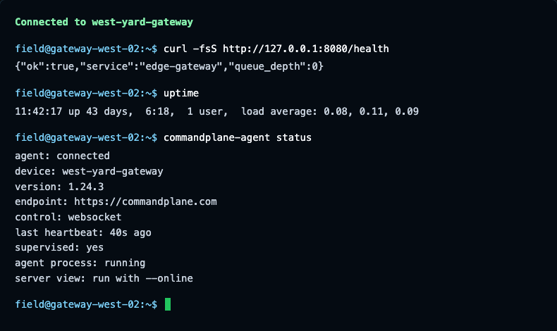 A browser terminal connected to a device, running curl, uptime, and commandplane-agent status