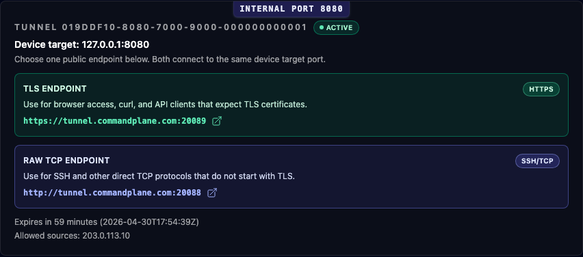 An active port tunnel with a TLS endpoint, a raw TCP endpoint, an expiry, and an allowed source address