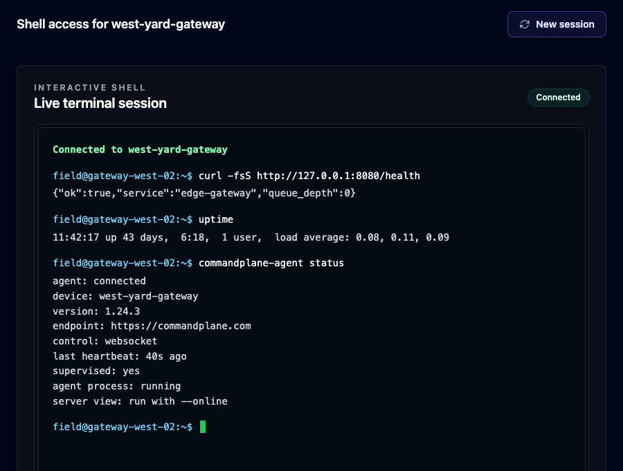 Shell session page in CommandPlane